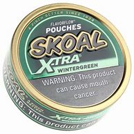 SKOAL - SKOAL XTRA WINTERGREEN POUCH